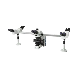 Microscopes - Multi viewing Microscope
